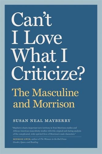 Cover image for Can't I Love What I Criticize?