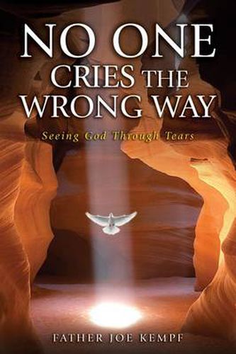 Cover image for No One Cries the Wrong Way: Seeing God Through Tears