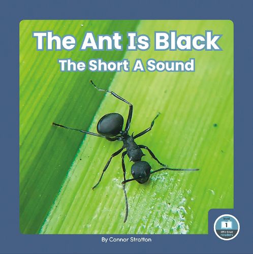 Cover image for The Ant Is Black