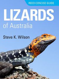 Cover image for Reed Concise Guide Lizards of Australia: Reed Concise Guide