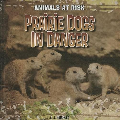 Cover image for Prairie Dogs in Danger