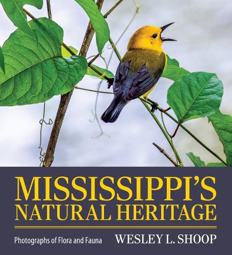 Cover image for Mississippi's Natural Heritage