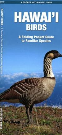 Cover image for Hawai'i Birds: A Folding Pocket Guide to Familiar Species