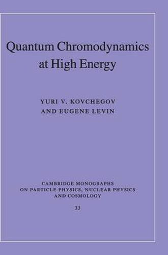 Cover image for Quantum Chromodynamics at High Energy