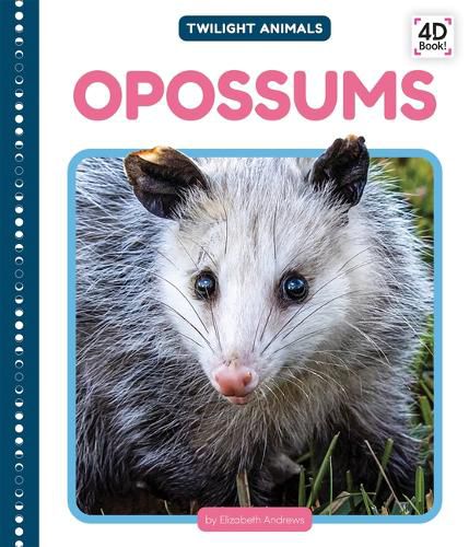 Opossums