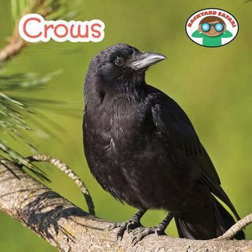 Crows