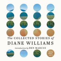 Cover image for The Collected Stories of Diane Williams