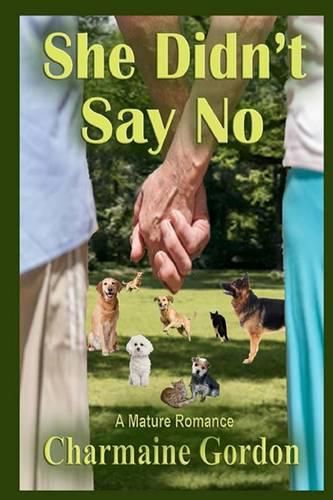 Cover image for She Didn't Say No