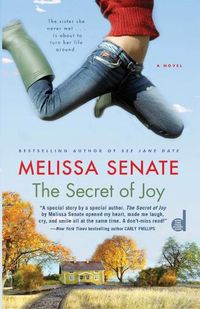 Cover image for Secret of Joy