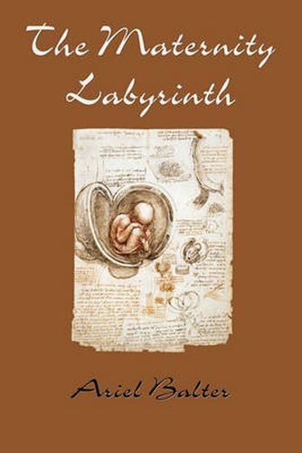 Cover image for The Maternity Labyrinth