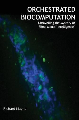 Orchestrated Biocomputation: Unravelling the Mystery of Slime Mould Intelligence