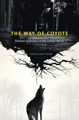 Cover image for The Way of Coyote