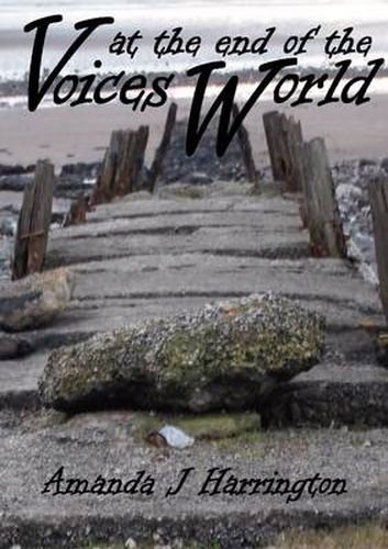 Cover image for Voices at the end of the World