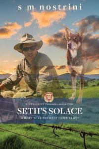 Cover image for Seth's Solace