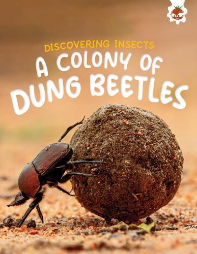 Cover image for Discovering Insects: A Colony of Dung Beetles