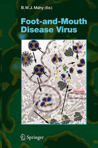 Cover image for Foot-and-Mouth Disease Virus