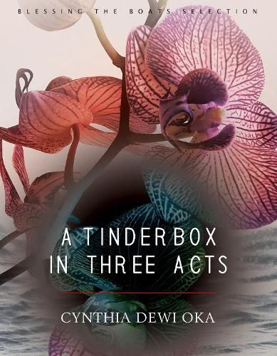 Cover image for A Tinderbox in Three Acts