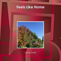 Cover image for Feels Like Home