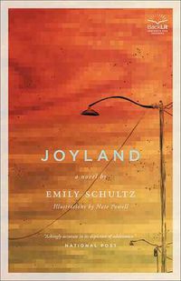 Cover image for Joyland