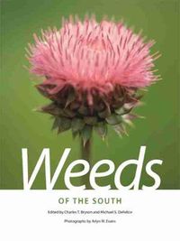 Cover image for Weeds of the South