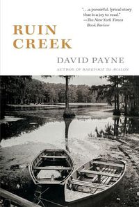Cover image for Ruin Creek