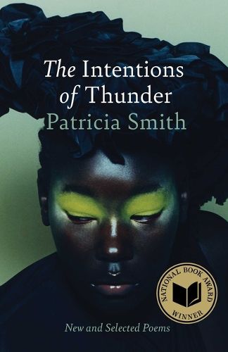 Cover image for The Intentions of Thunder