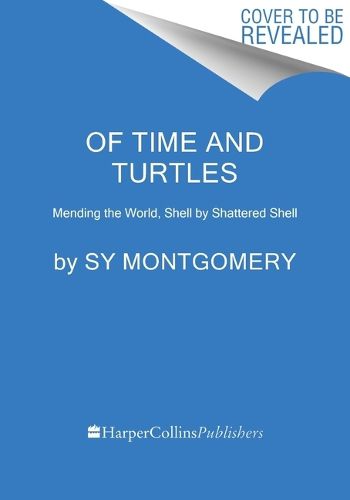 Of Time And Turtles