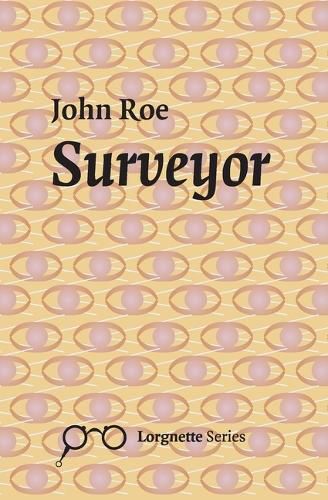 Cover image for Surveyor