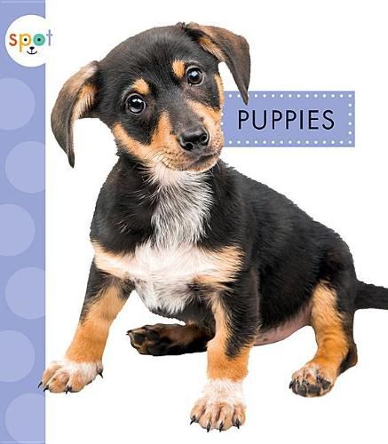 Cover image for Puppies