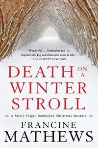Cover image for Death On A Winter Stroll