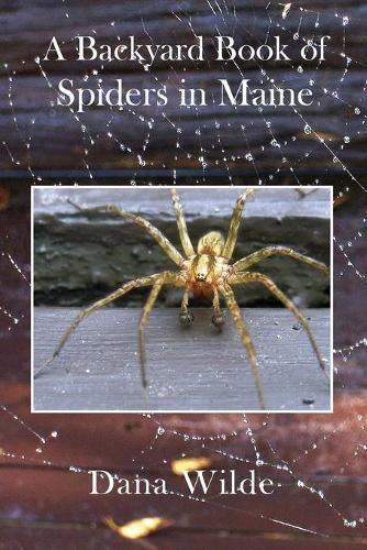 Cover image for A Backyard Book of Spiders in Maine