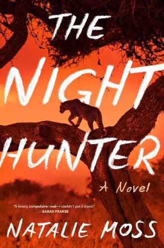 Cover image for The Night Hunter