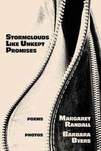 Cover image for Stormclouds Like Unkept Promises