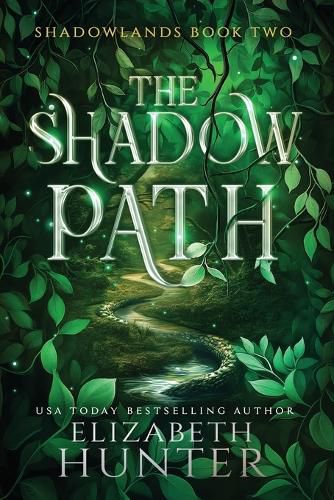 Cover image for The Shadow Path