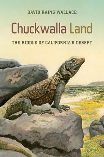 Chuckwalla Land: The Riddle of California's Desert