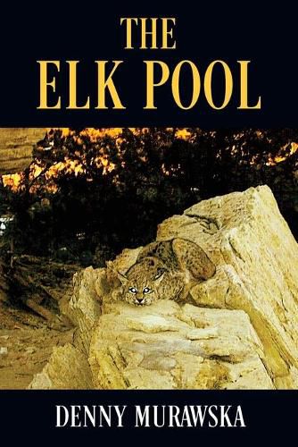 Cover image for The Elk Pool