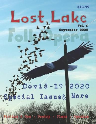 Cover image for Lost Lake Folk Opera V6: Covid-19 2020 issue