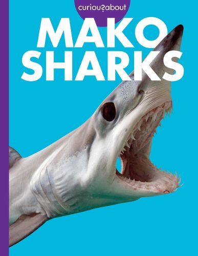 Cover image for Curious about Mako Sharks