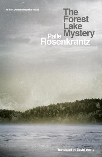 Cover image for The Forest Lake Mystery