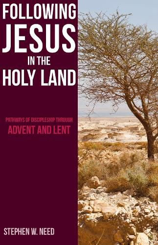 Cover image for Following Jesus in the Holy Land: Pathways of Discipleship through Advent and Lent