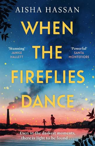 Cover image for When the Fireflies Dance