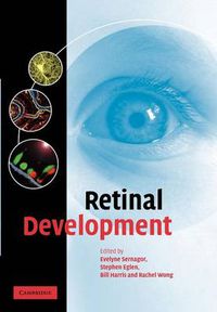 Cover image for Retinal Development