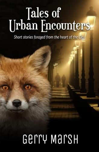 Cover image for Tales of Urban Encounters