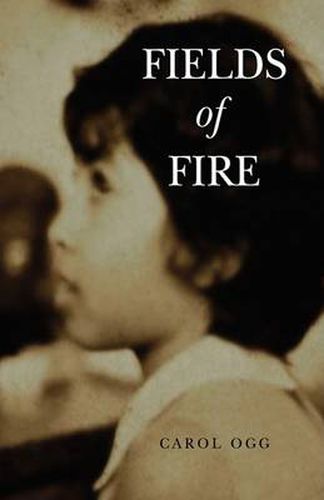 Cover image for Fields of Fire