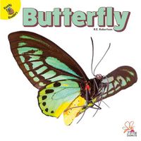 Cover image for Butterfly