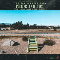 Cover image for Pride & Joy 
