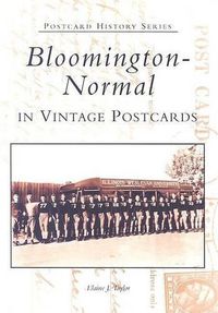 Cover image for Bloomington-Normal in Vintage Postcards