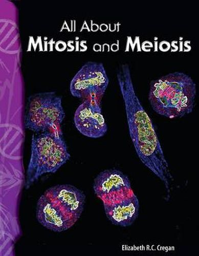 Cover image for All About Mitosis and Meiosis