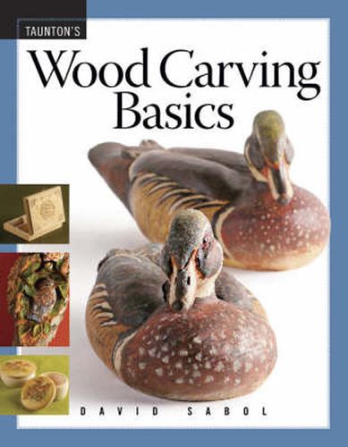 Cover image for Wood Carving Basics