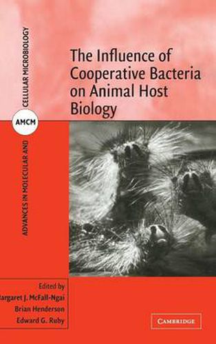 The Influence of Cooperative Bacteria on Animal Host Biology